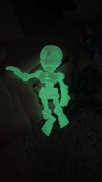 3D Printed Skeleton Magnets