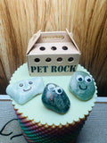 Pet Rock with 3D Printed Carrier